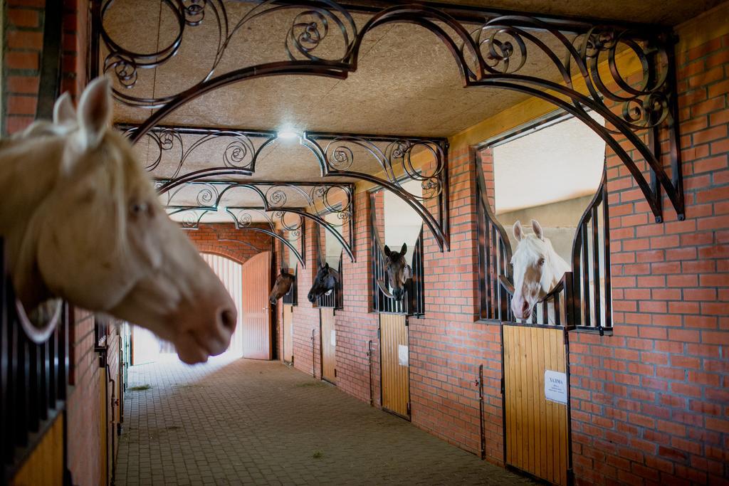 Zolota Gora Hotel-rancho Hotel